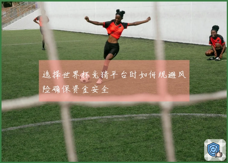 选择世界杯竞猜平台时如何规避风险确保资金安全